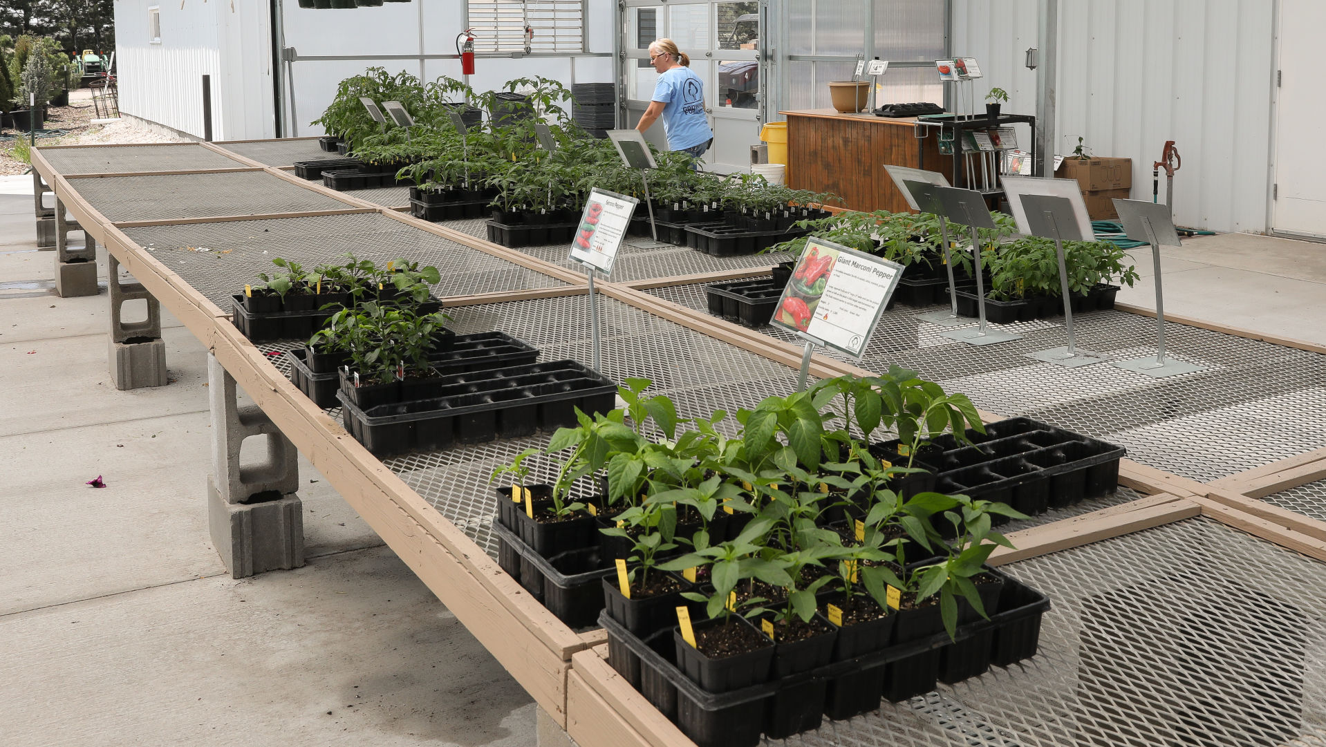 Steinbrink Landscaping and Greenhouses